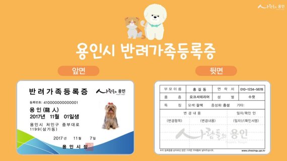 용인시, 전국 최초 '반려동물 가족등록증' 발급