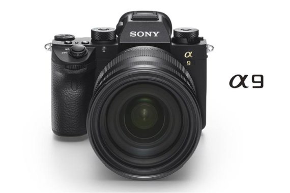 소니 α9은 현존 최고의 미러리스 카메라라는 평가를 받고 있다.<div id='ad_body2' class='ad_center'></div>/소니코리아 제공