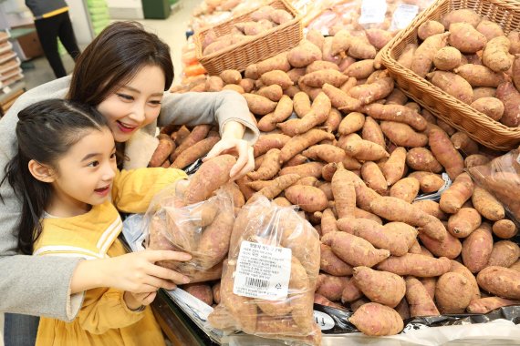 이마트 24주년 기념 제철 고구마 한봉지 가득담기