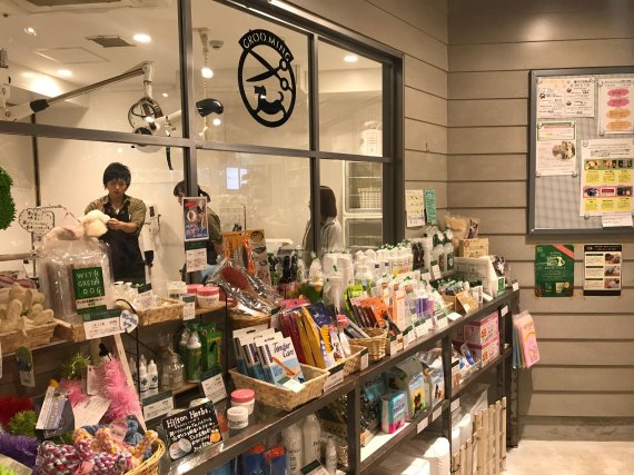 일본 도쿄 그린독 카나가와 총센터에서 반려견들이 미용 서비스를 이용하고 있다.