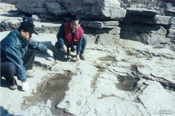 1985년 발견 당시의 천전리 공룡발자국 /사진=울산시