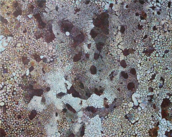 제주도립미술관 '과학예술 2017 카본프리’전 개최