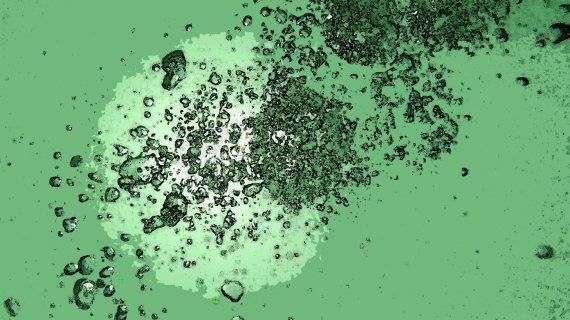 제주도립미술관 '과학예술 2017 카본프리’전 개최