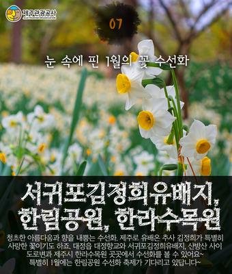 "겨울, 제주여행 제대로" 무술년 새해맞이 '제주관광 10선'