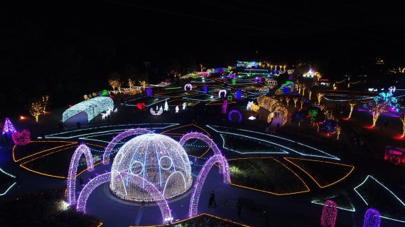 울산대공원 장미원 빛 축제, 크리스마스이브 LED 장미꽃과 초콜릿 선물