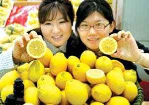 농협 하나로클럽에서 판매되고 있는 제주산 레몬