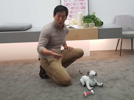 소니가 'CES 2018'에서 공개한 강아지 로봇 '아이보'의 모습. /사진=권승현 기자