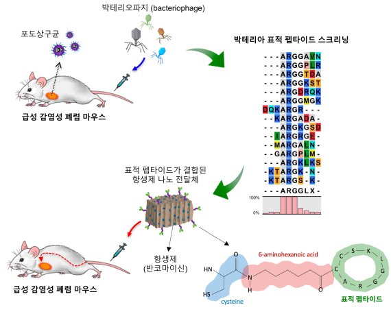 서울아산병원, 항생제 10분의 1만 사용하는 '나노 약물 전달체' 개발