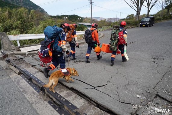 일본 구조견 유메노스케가 구마모토 지진 현장에서 구조 작업을 펼치고 있다. /사진=fnDB