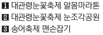 [yes+ 레저] 평창의 '겨울 선물' 눈덮인 오대산 걷고, 펄떡이는 송어 잡고