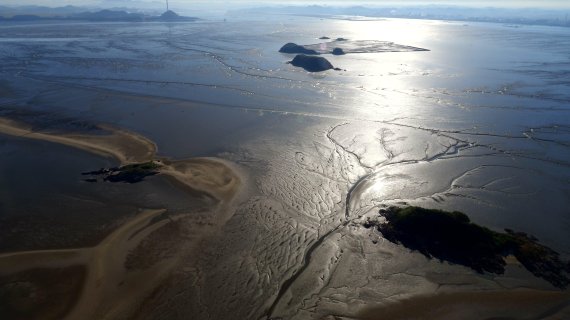 충남 서천 갯벌