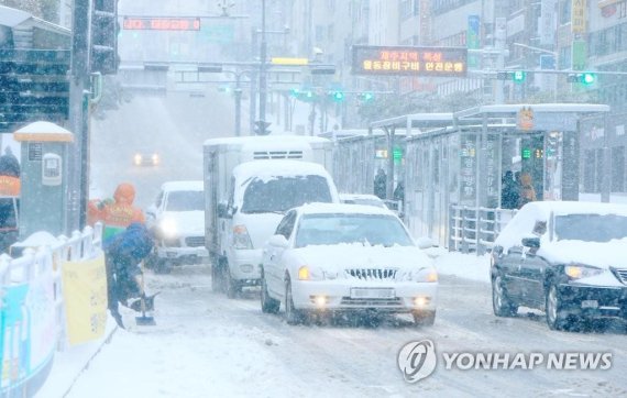 제주도 역대급 맹추위 '나흘째'…농작물 피해 속출