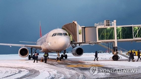 제주도 역대급 맹추위 '나흘째'…농작물 피해 속출