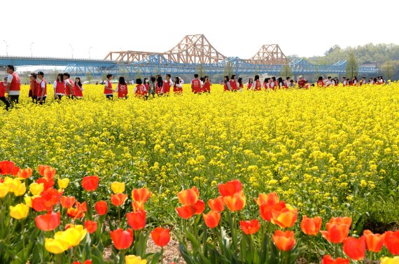 경남도가 경남을 대표하는 10개 문화관광축제를 선정하고 총 3억2000만원을 축제 육성 사업비로 지원한다.