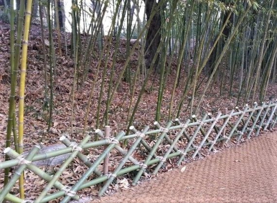 울산시가 만든 태화강대공원 십리대숲 주변에 설치된 ‘대나무 울타리’가 디자인 특허 등록됐다. ‘X자’ 대나무 배열과 녹색 끈으로 묶어 매듭을 짓는 등 독특하고 친환경적인 공법으로 제작되었다는 평가다. /사진=울산시