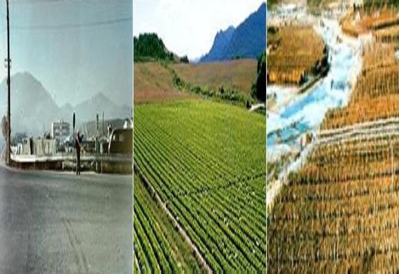 왼쪽으로부터 1990년 올림픽플라자 자리, 가운데는 1990년 초 고랭지농업, 오른쪽 1990년초 지금의 올림픽 플라자 자리에 있던 황태덕장의 옛 풍경. (사진제공=평창군)