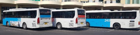 제주 버스 외부광고 사업자 선정 특혜 논란 차단