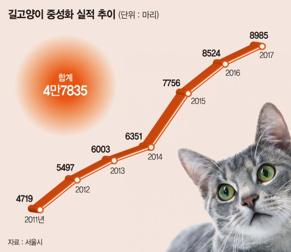 서울시, 길고양이와 '공존'.. 연 8000마리 중성화 성과