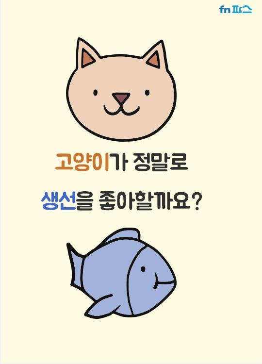 [카드뉴스]고양이는 생선에 사족을 못쓴다? "노놉!"