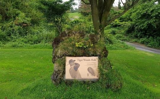 제주라온골프클럽. /fnDB