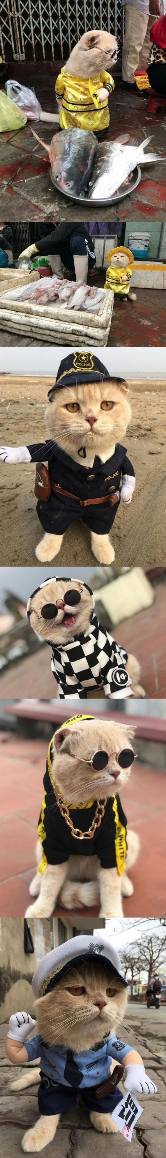 /사진=인스타그램 'dog1501' 사진 캡처