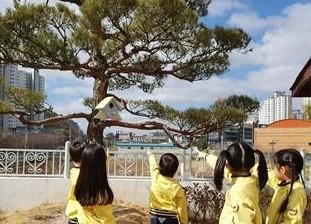 울산시설공단이 최근 설치한 울산시 중구 아리솔유치원의 새집. /사진=울산시설공단