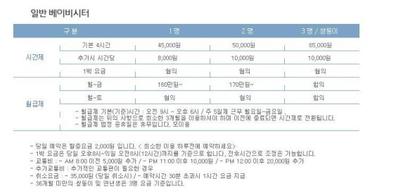 [워킹맘.또하나의 전쟁] (상) "조건 맞는 이모님 어디 없나요?"