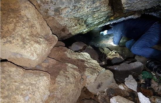 천연 용암동굴 내 축산분뇨 슬러지가 발견돼 시료를 채취하고 있는 모습.
