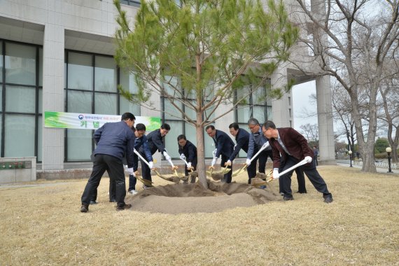 김재현 산림청장과 박춘섭 조달청장, 김종진 문화재청장 등 정부대전청사 입주기관 기관장 등과 박준하 정부청사관리본부장이 29일 정부대전청사에서 열린 식목일행사에서 청사 남현관 앞 마당에 정이품송 후계목을 심고 있다.