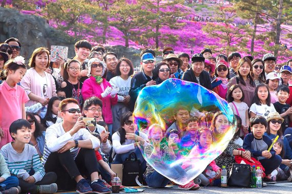 2017 군포철쭉축제. 사진제공=군포시