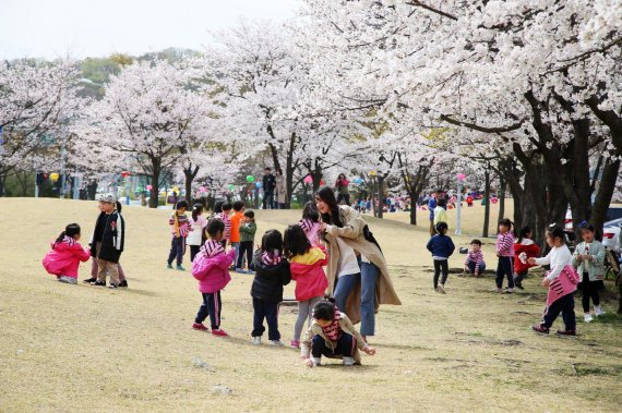 안양시 안양충훈벚꽃축제 7일 개막