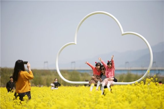 '부산 낙동강 유채꽃축제' 14일 개막