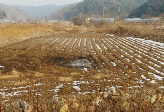 12일 강원도에 따르면 기업형 새농촌 마을사업이 보다 안정적으로 추진될 수 있도록 도내 농촌개발분야에 종사하고 있는 민간·학계·연구기관의 전문가들로 구성된 기업형 새농촌 자문단은 모두 23명이 현장에서 활동하는 것으로 나타났다.