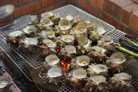 가파도 특산 뿔소라.