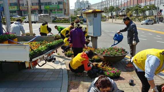 고양시 일산서구 길가 꽃단장. 사진제공=고양시