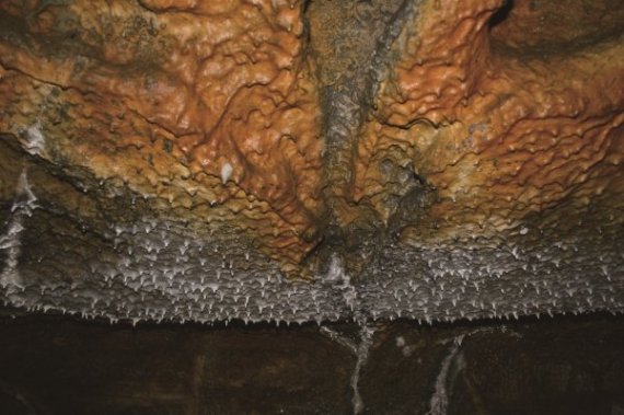 억겁의 세월이 빚어낸 '제주 용암동굴' 여행