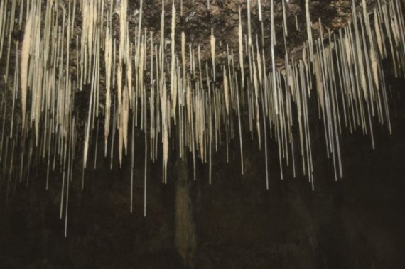 억겁의 세월이 빚어낸 '제주 용암동굴' 여행