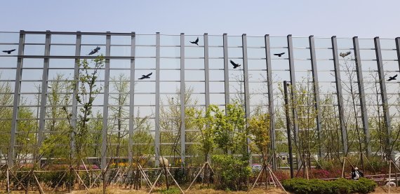 방음벽에 독수리 스티커(버드세이버)가 붙어있다. 전문가들은 스티커를 띄엄띄엄 부착하면 큰 효과가 없다고 지적한다./사진=최용준 기자