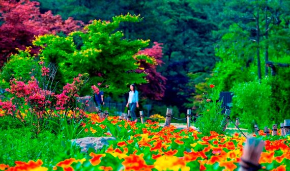 남양주 산들소리수목원. 사진제공=경기북부청