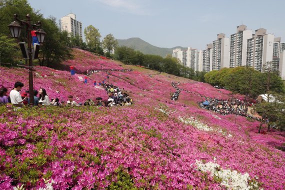 군포철쭉축제 45만명 동원…군포 ‘철쭉도시’ 브랜드↑