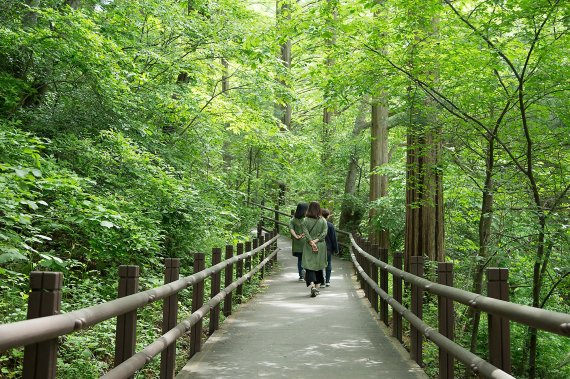 의왕시 청계산 맑은숲공원. 사진제공=의왕시