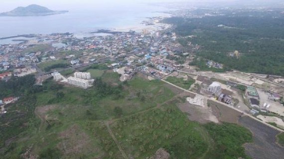 축구장 3배 크기 산림 무단 훼손…70대 개발업자 구속영장