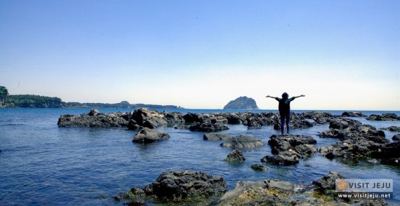 “꽃과 바다 그리고 별 헤는 제주” 6월 제주관광 10선