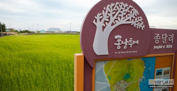 “꽃과 바다 그리고 별 헤는 제주” 6월 제주관광 10선