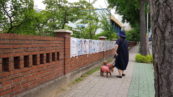 한 여성이 3일 창원 시내에서 선거 벽보를 바라보고 있다. /사진=남건우 기자