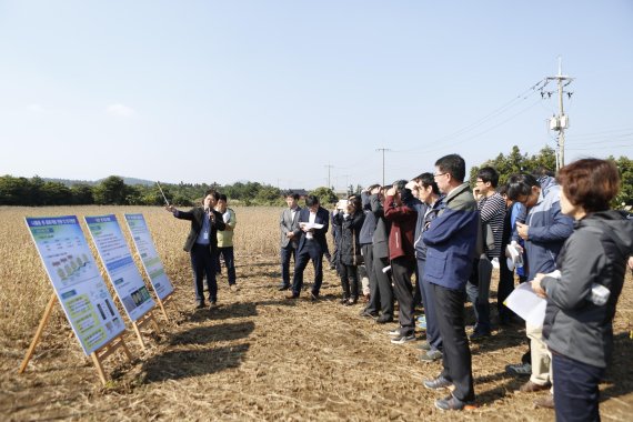 제주도내에 제주에 신품종 나물공 '아람'을 재배하는 시범단지가 조성된다. 사진은 지난해 11월 열린 기계수확용 신품종 나물콩 '아람' 현장평가회.