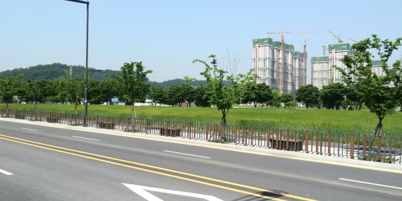 안산시 단원구청 앞 보리밭. 사진제공=안산시