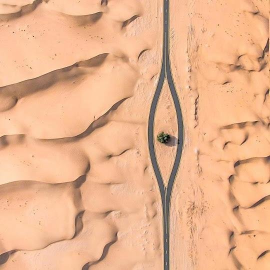 [사진=일레나에우스헤록인스타]