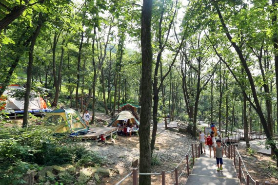 [포토뉴스] 도심 속 캠핑, 의왕 바라산자연휴양림