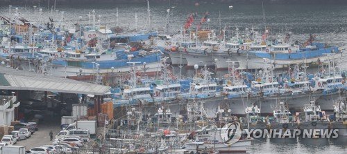 '쁘라삐룬'이 북상중인 2일 오전 제주 서귀포항에 어선들이 정박해 있다./사진=연합뉴스